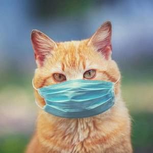 Meet your Posher, Ruth